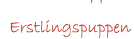 Erstlingspuppen und deren Verarbeitung